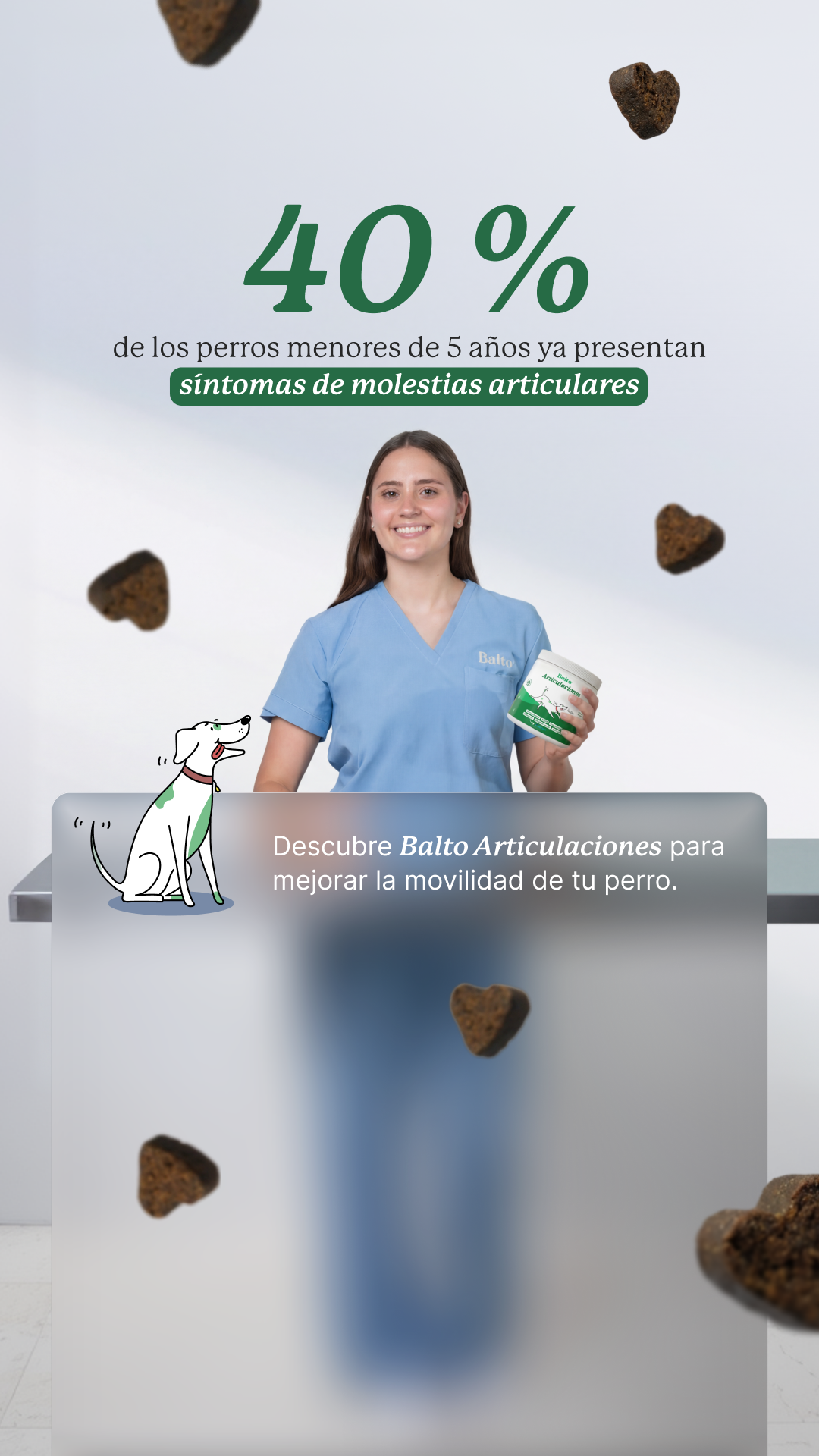Balto Facebook ad