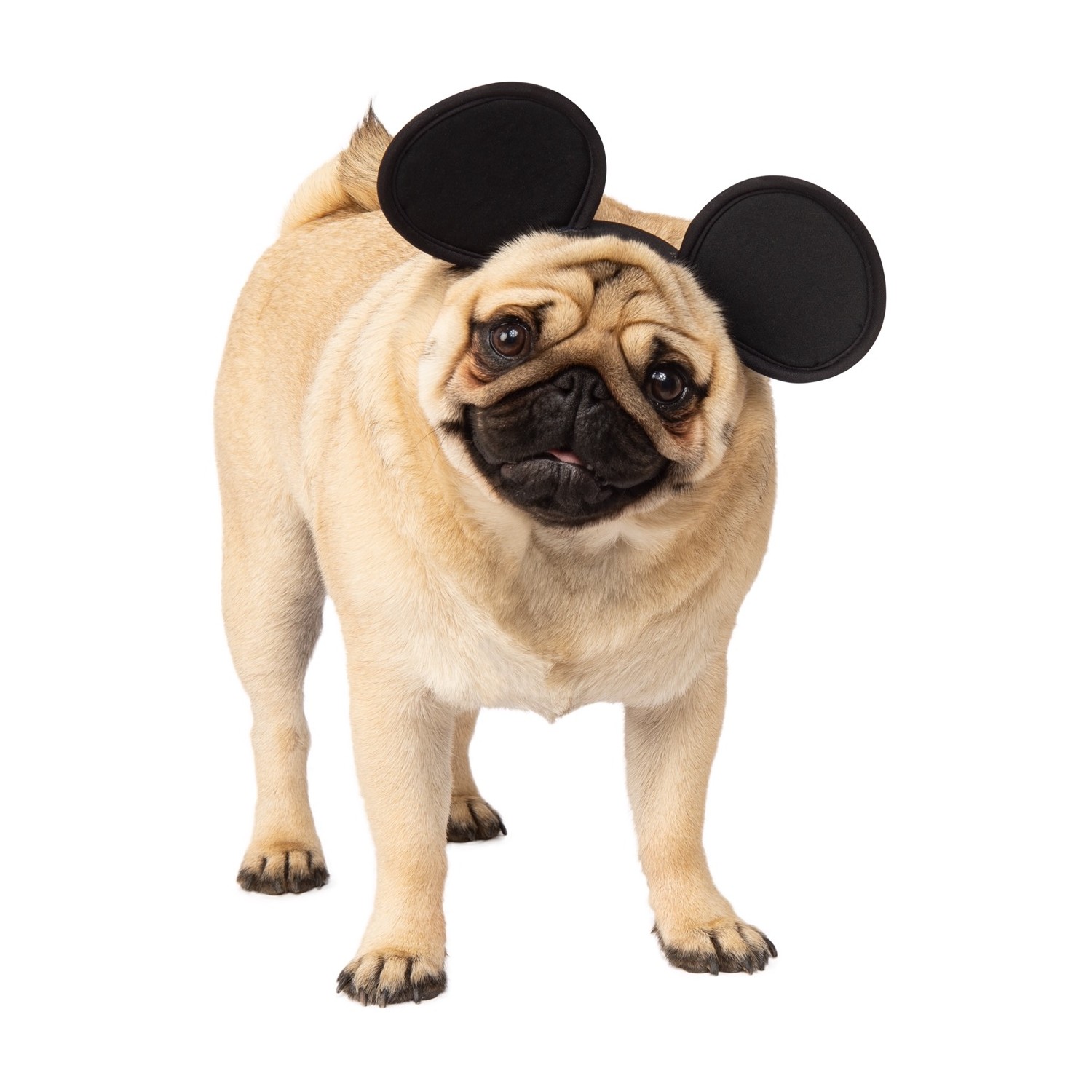 BaxterBoo.com Facebook ad