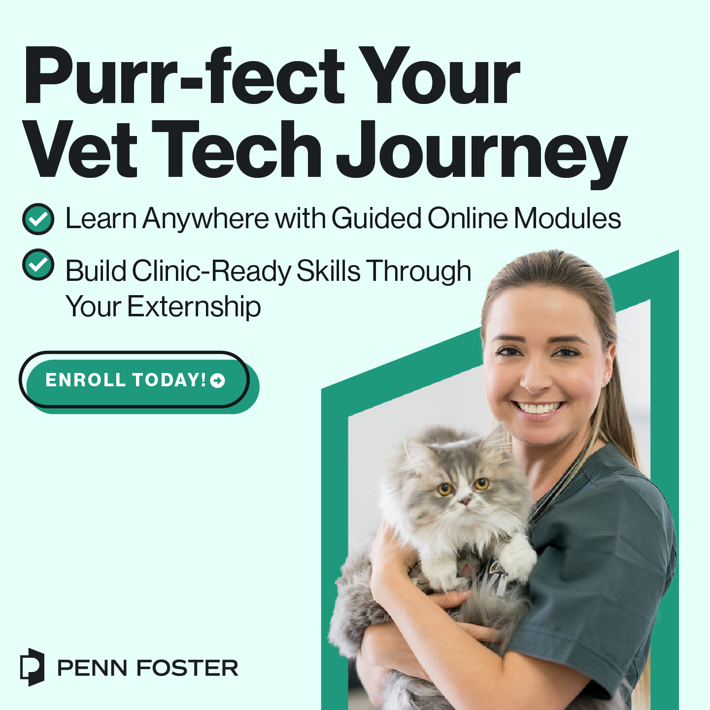 Penn Foster Facebook ad