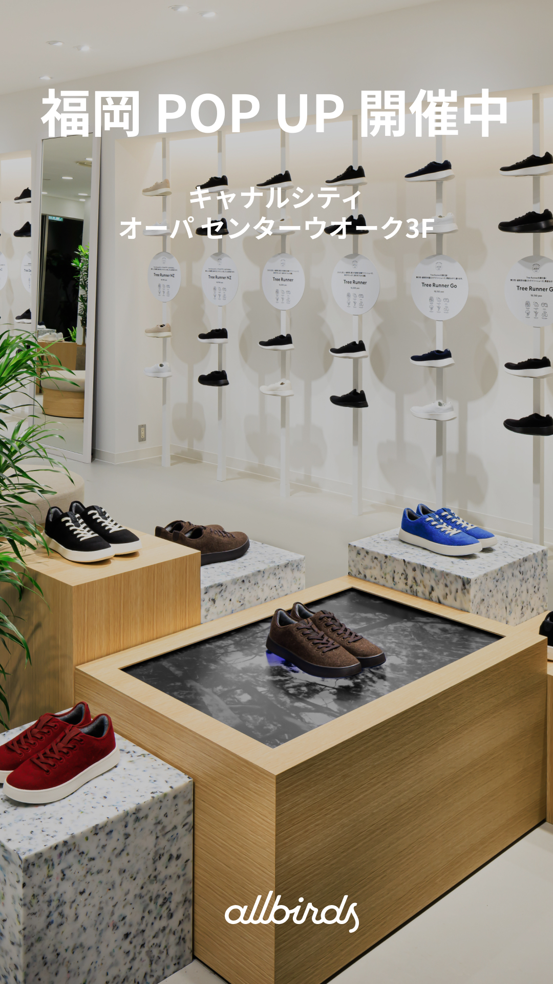 Allbirds Japan Facebook ad