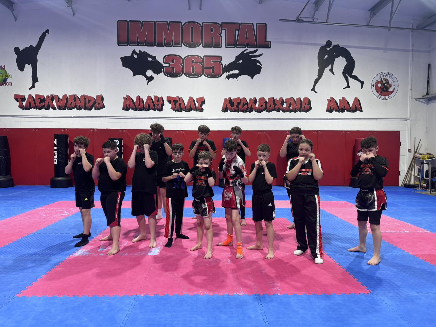 Immortal 365 Family Martial Arts  & Fitness Academy Facebook ad