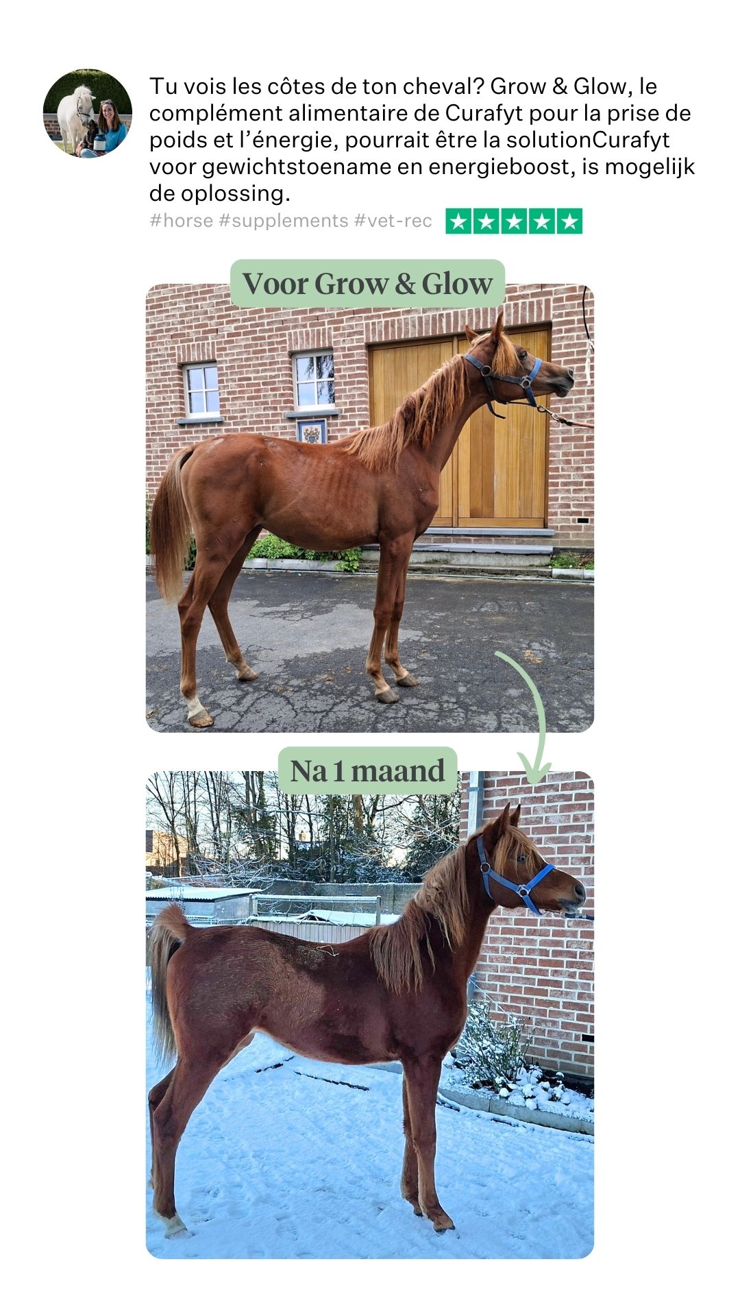 Vet Valerie Facebook ad: Chevaux maigres ou fatigués? Découvrez comment les…