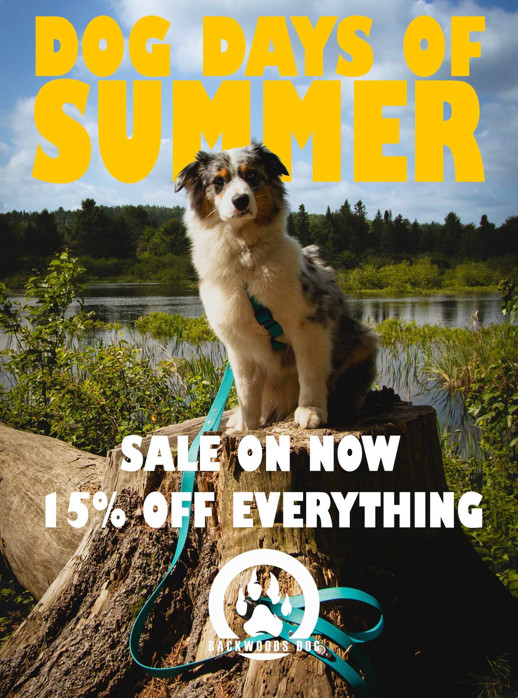 Backwoods Dog Facebook ad