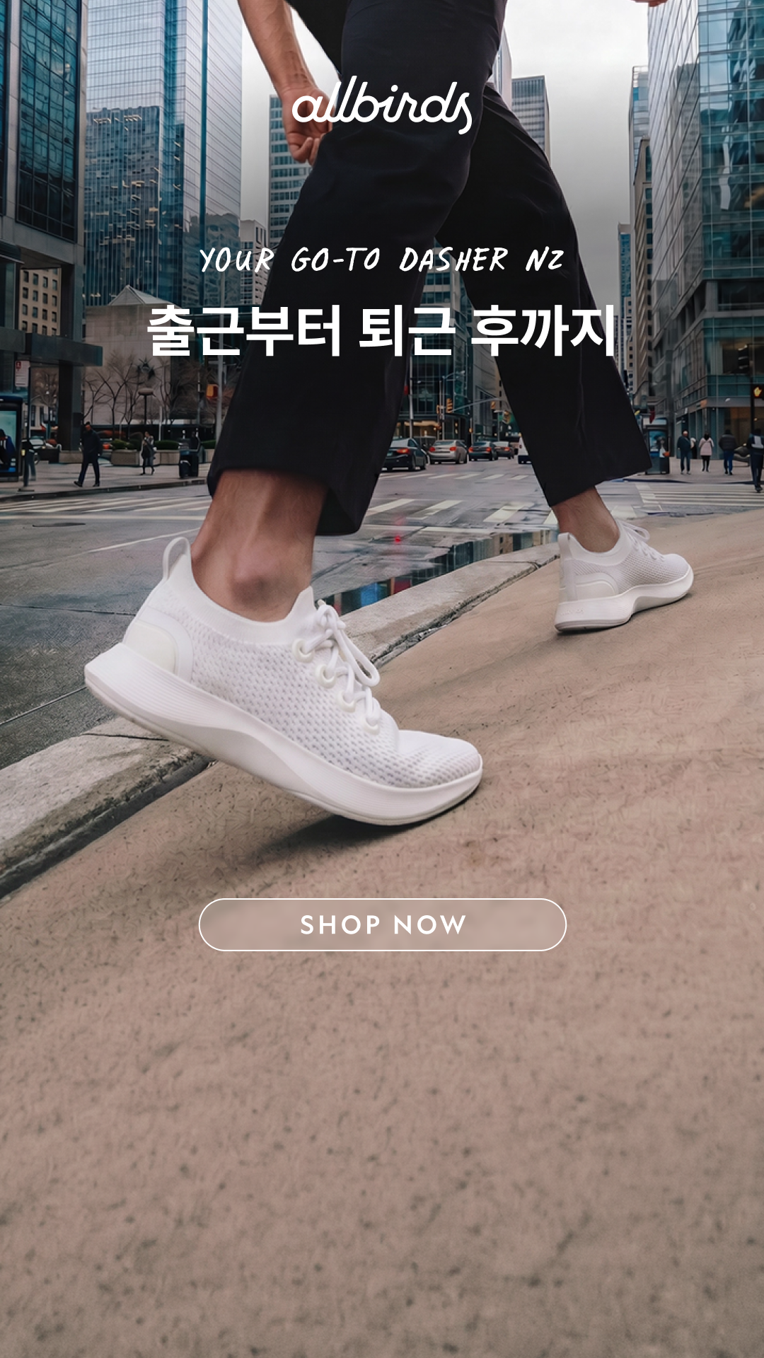올버즈 Allbirds KR Facebook ad