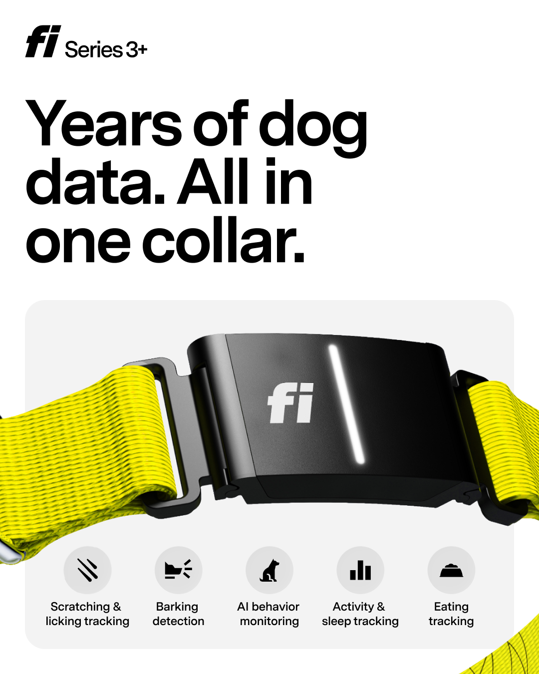 Fi Facebook ad