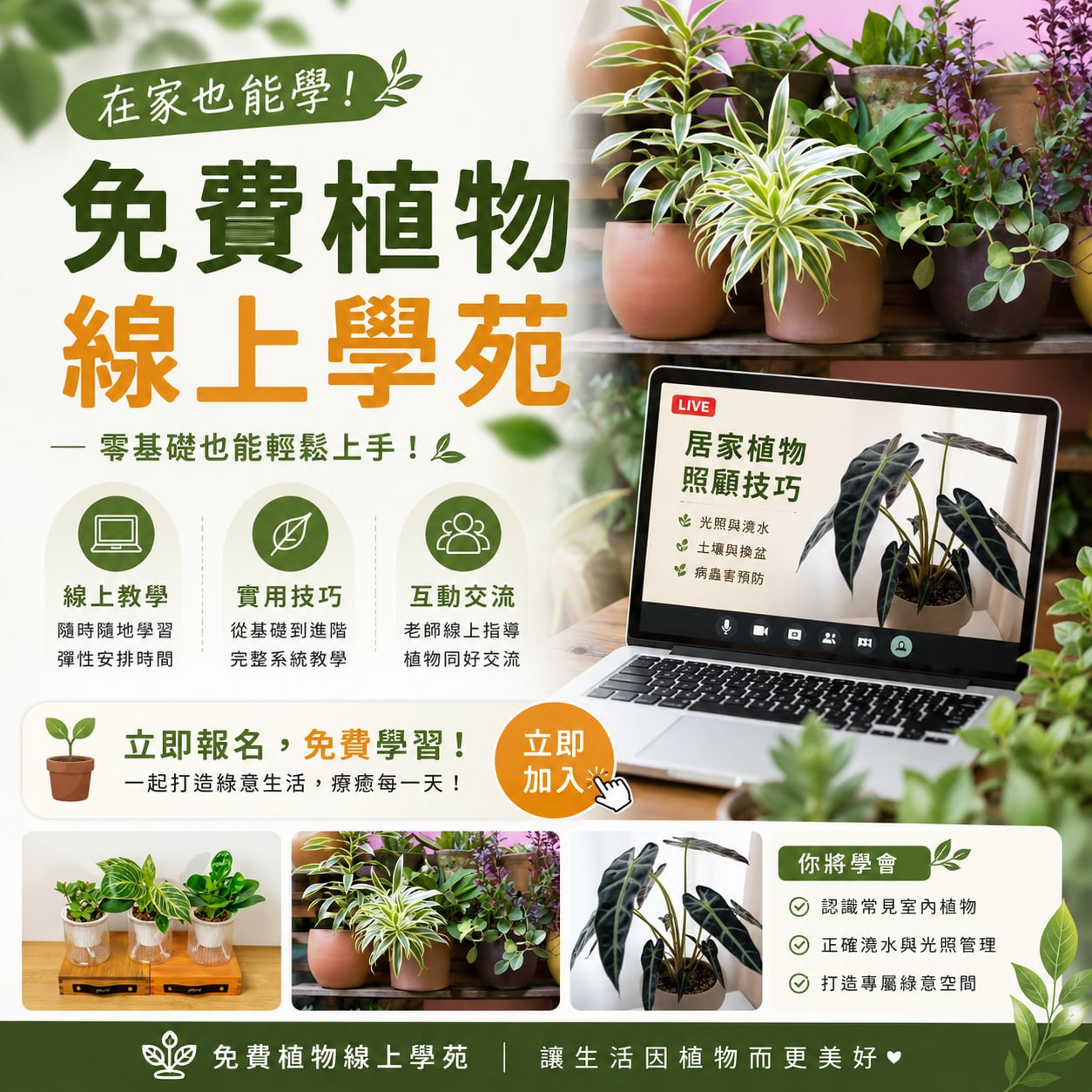今日不加班 Facebook ad: 植物療癒體驗開啟