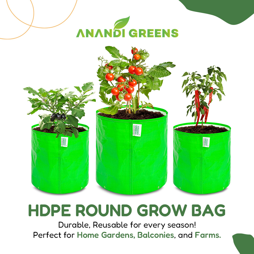 Anandi Green's Facebook ad