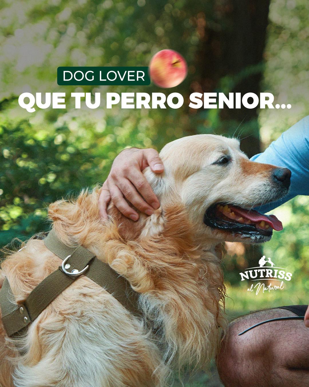 Nutriss Lovers Facebook ad