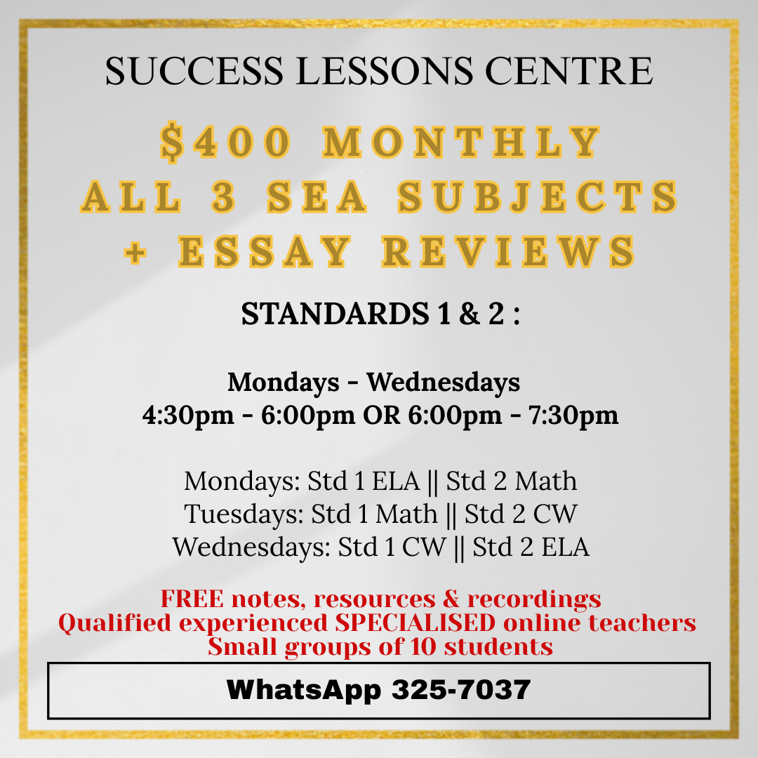Success Lessons Centre Facebook ad