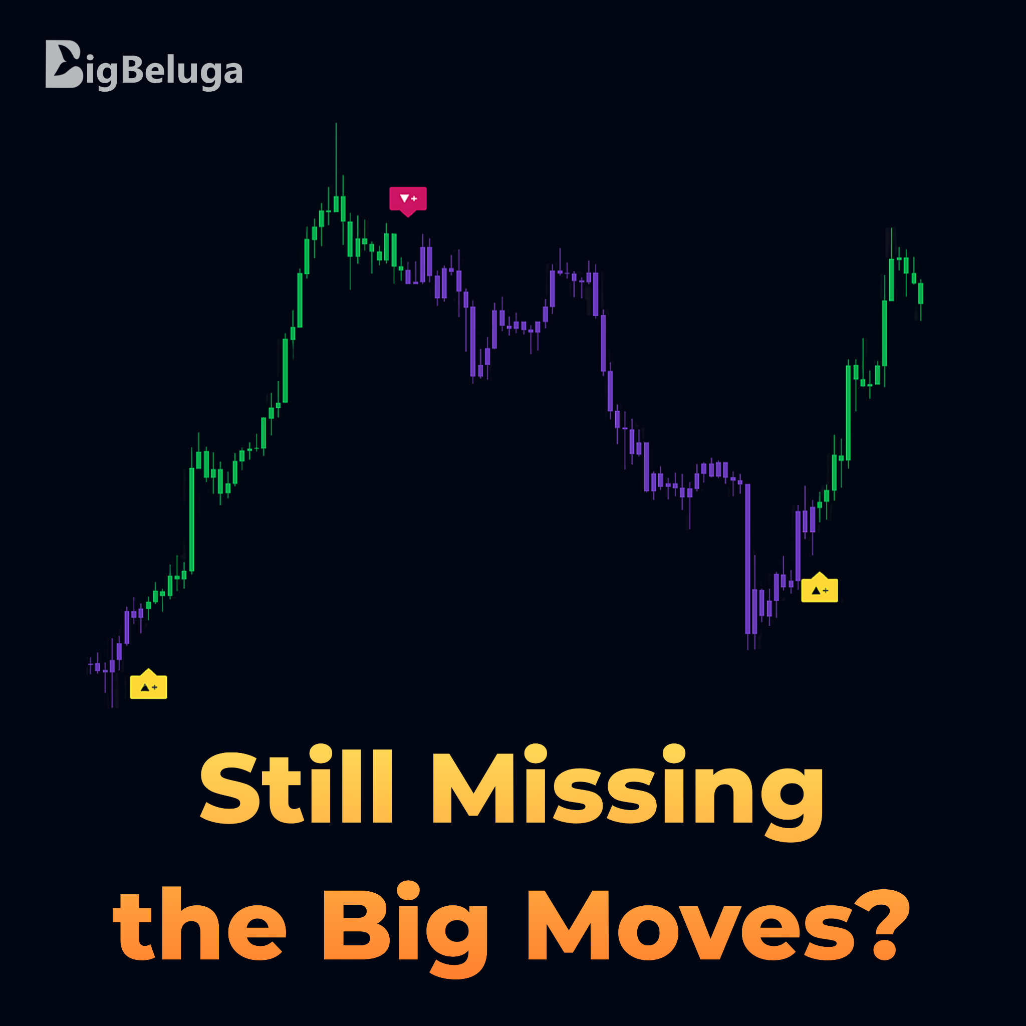 Bigbeluga Facebook ad