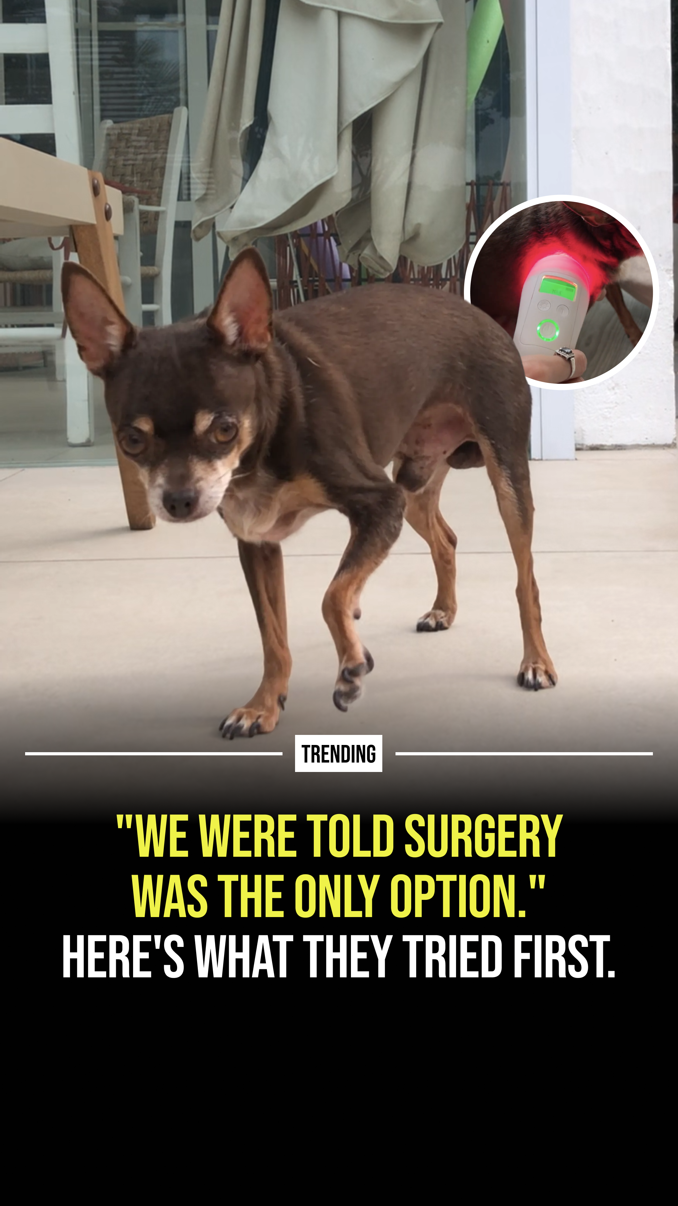 Helio Pet Facebook ad