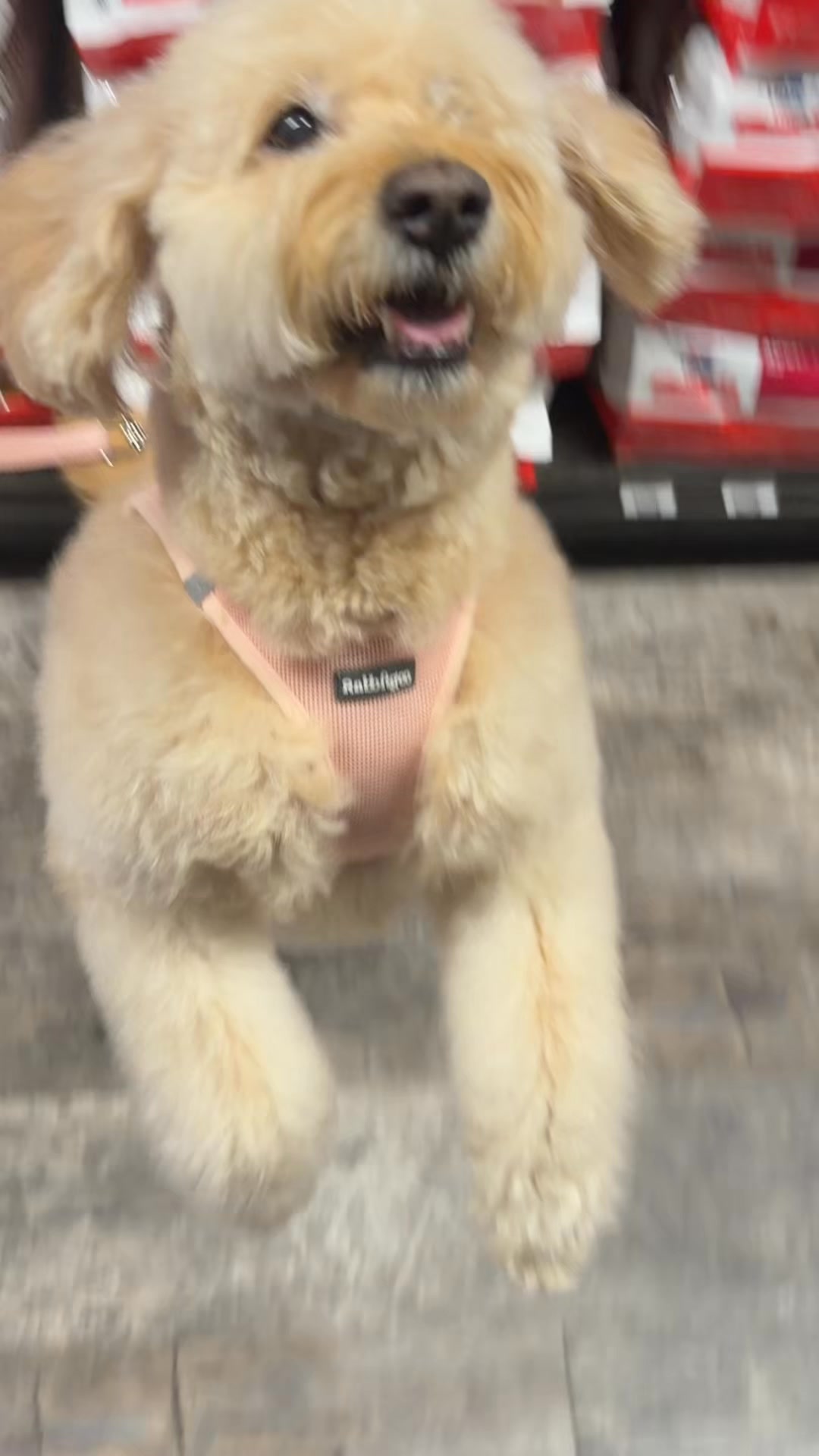 Pet Supermarket Facebook ad: Just Off Cypress Pkwy