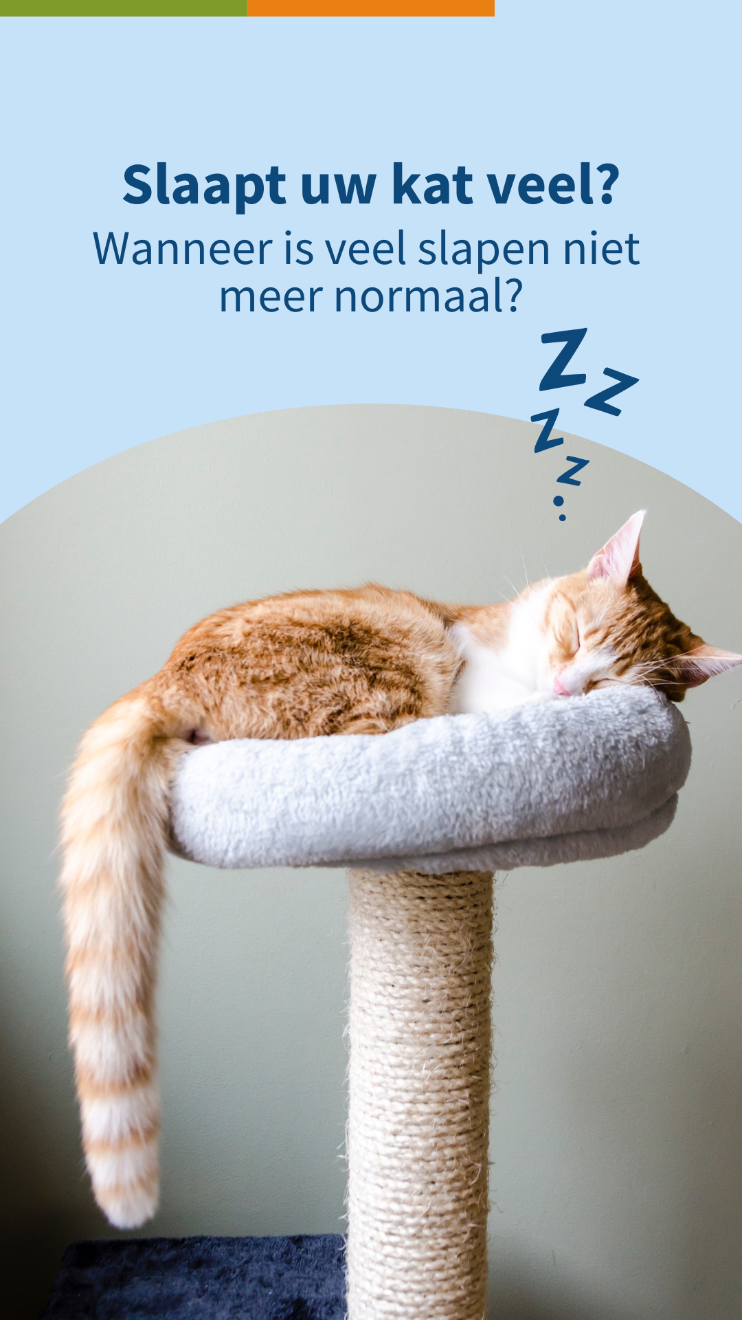 Medpets Facebook ad
