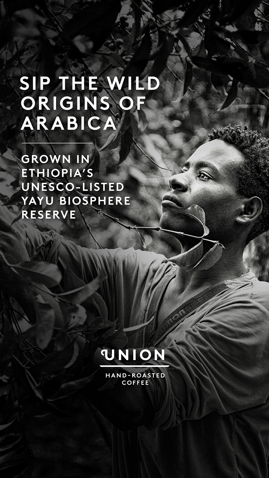 Union Hand-Roasted Coffee Facebook ad