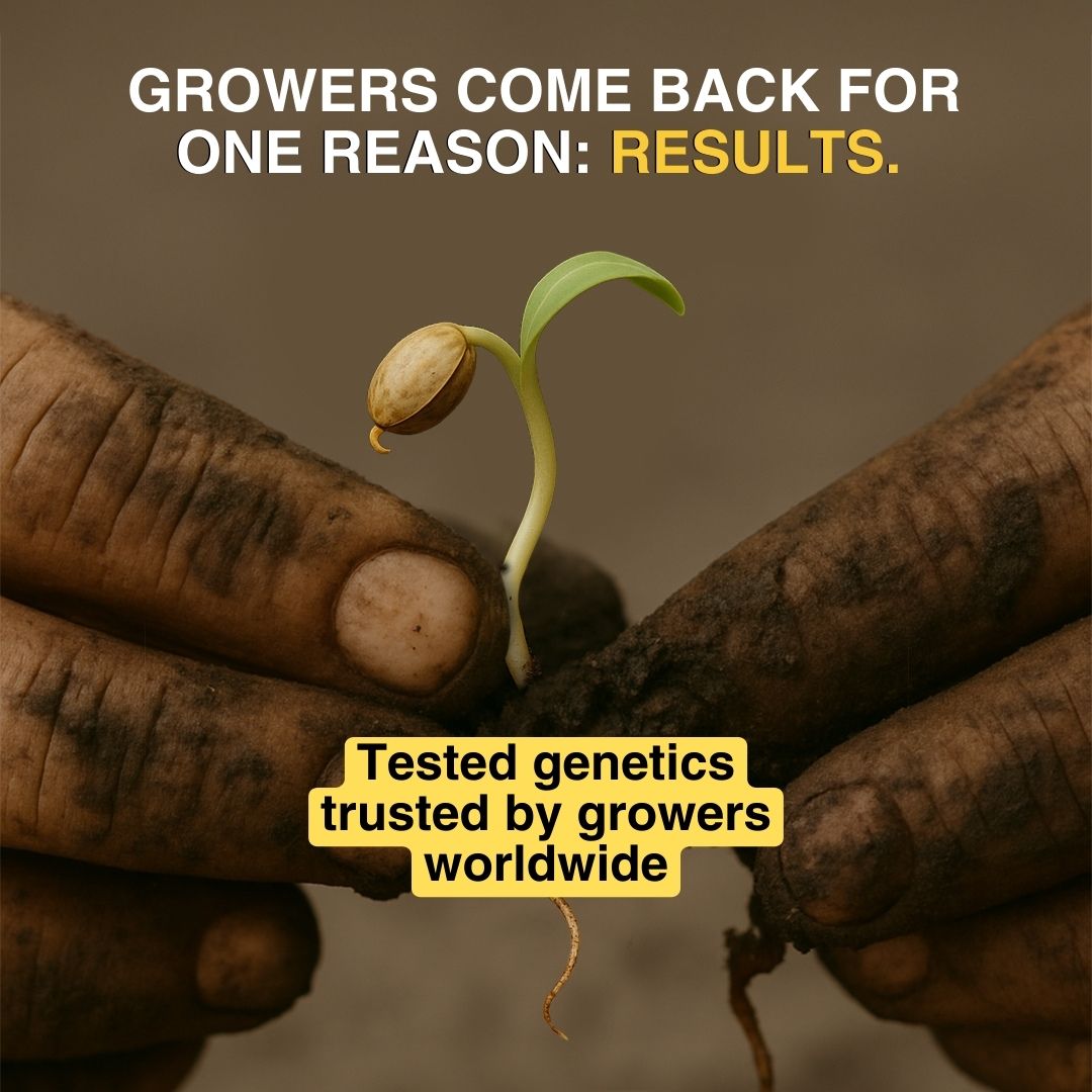 Pacific Seed Bank Seeds Facebook ad: Guaranteed to Perform