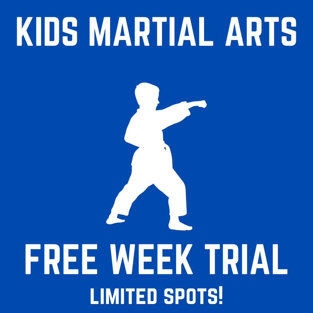 Wushu Central's Kung Fu Kids Facebook ad