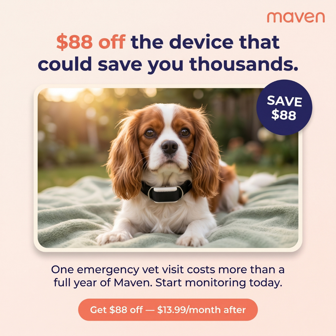 Maven Pet Facebook ad