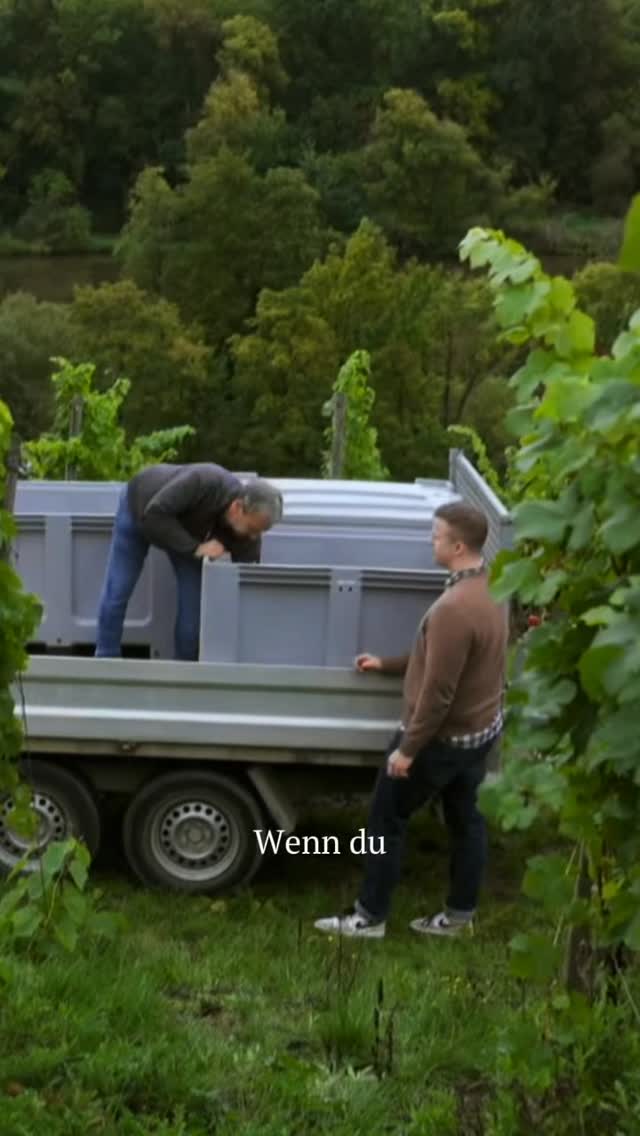 Senzo Facebook ad: Plotttwist unseres Weingutes: senzo, Echter Wein ohne…
