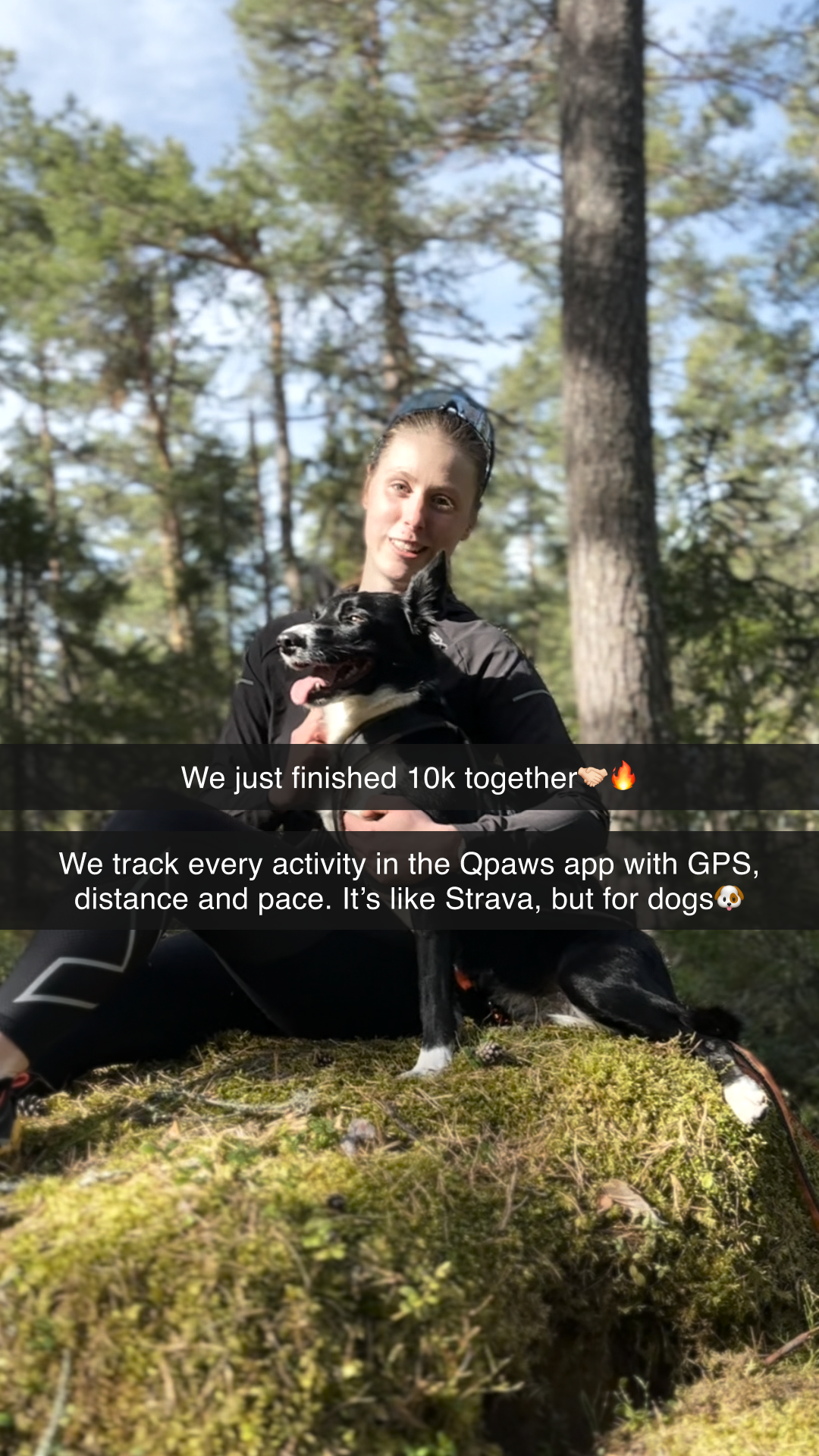 QPAWS Facebook ad