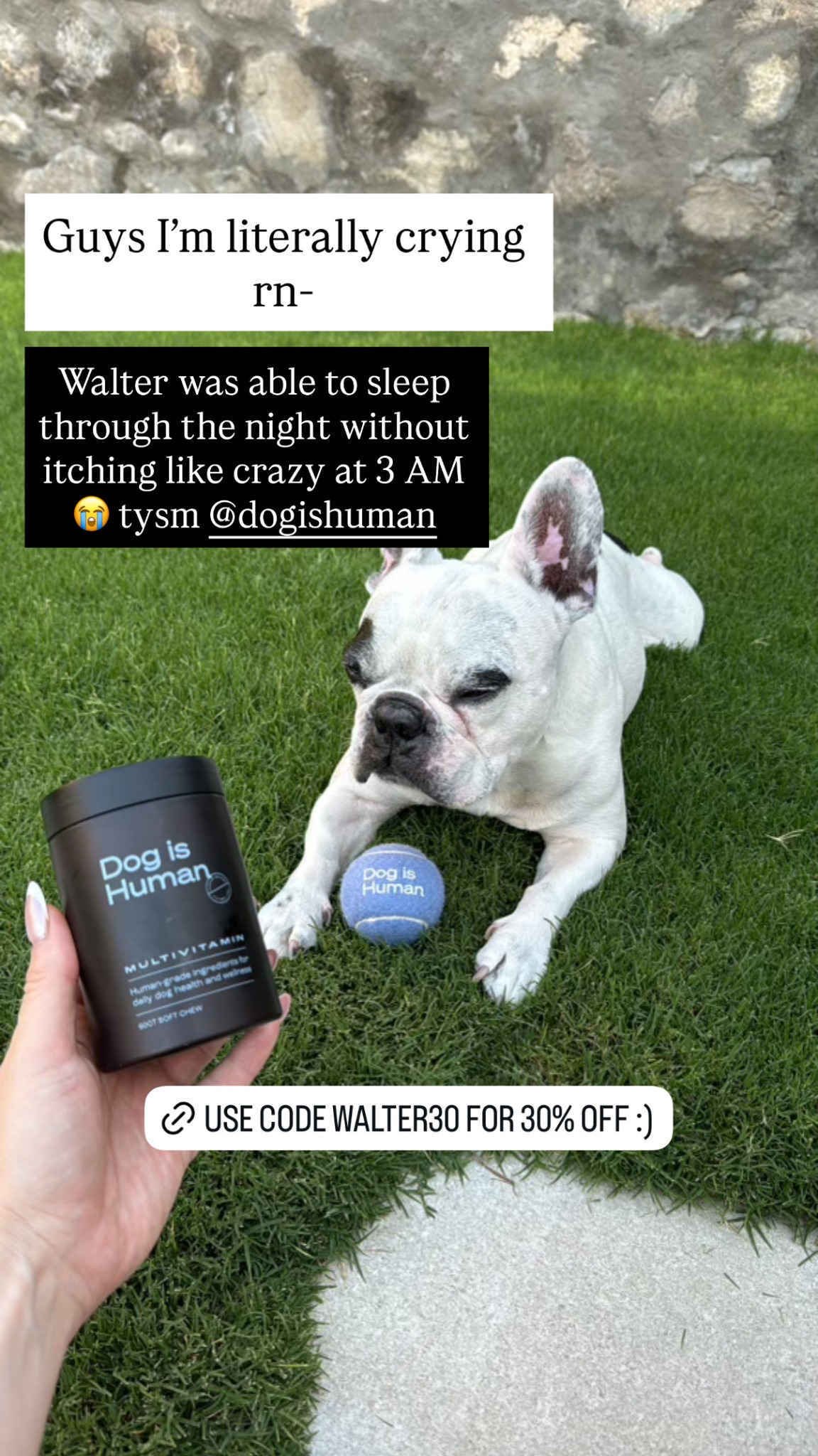 Dog is Human Facebook ad