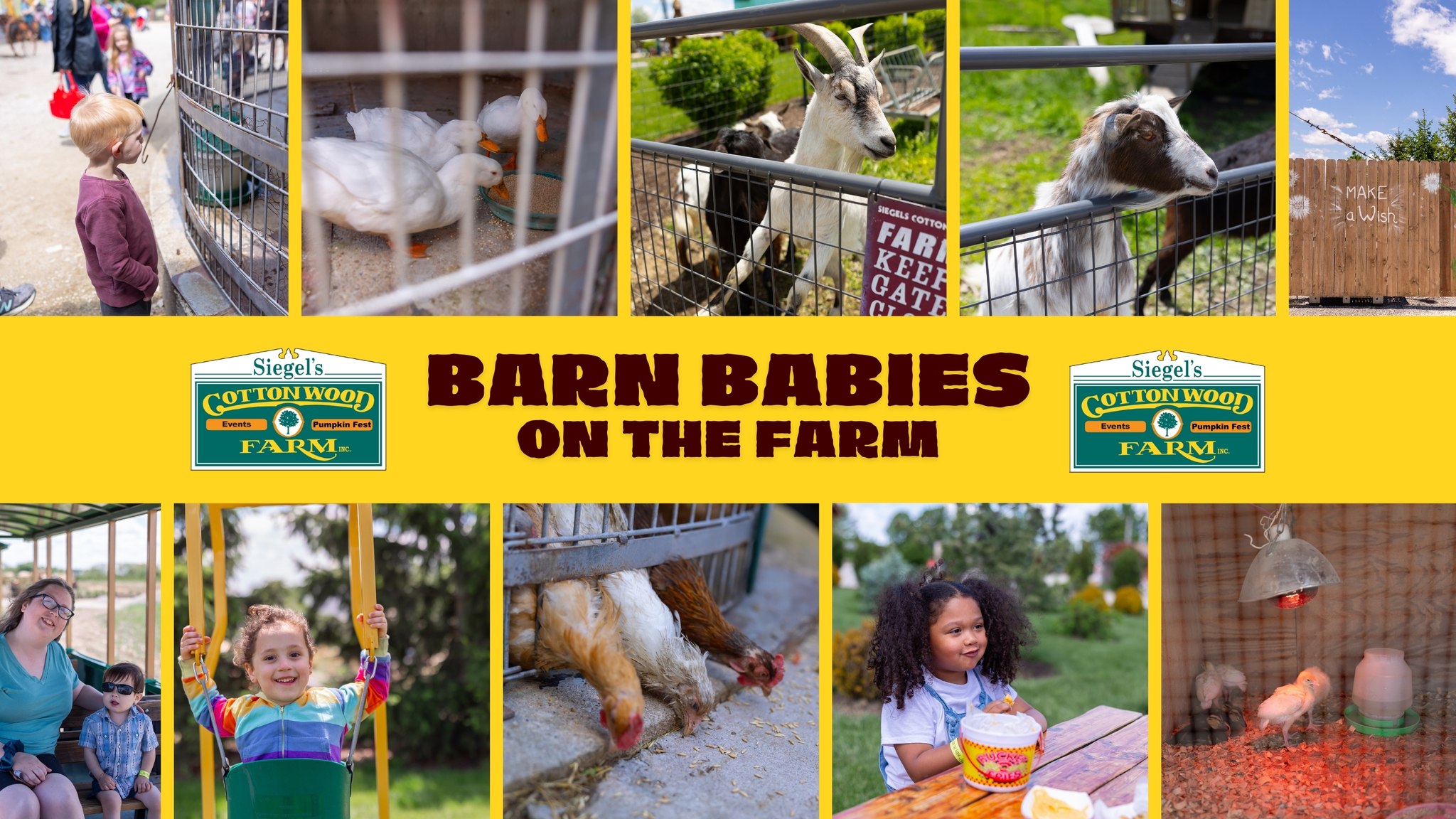 Siegel's Cottonwood Farm Facebook ad: Barn Babies Weekend at Siegel's Cottonwood Farm!