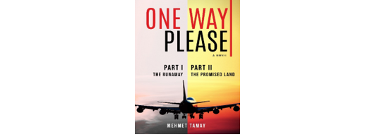 One Way Please Facebook ad: A Novel