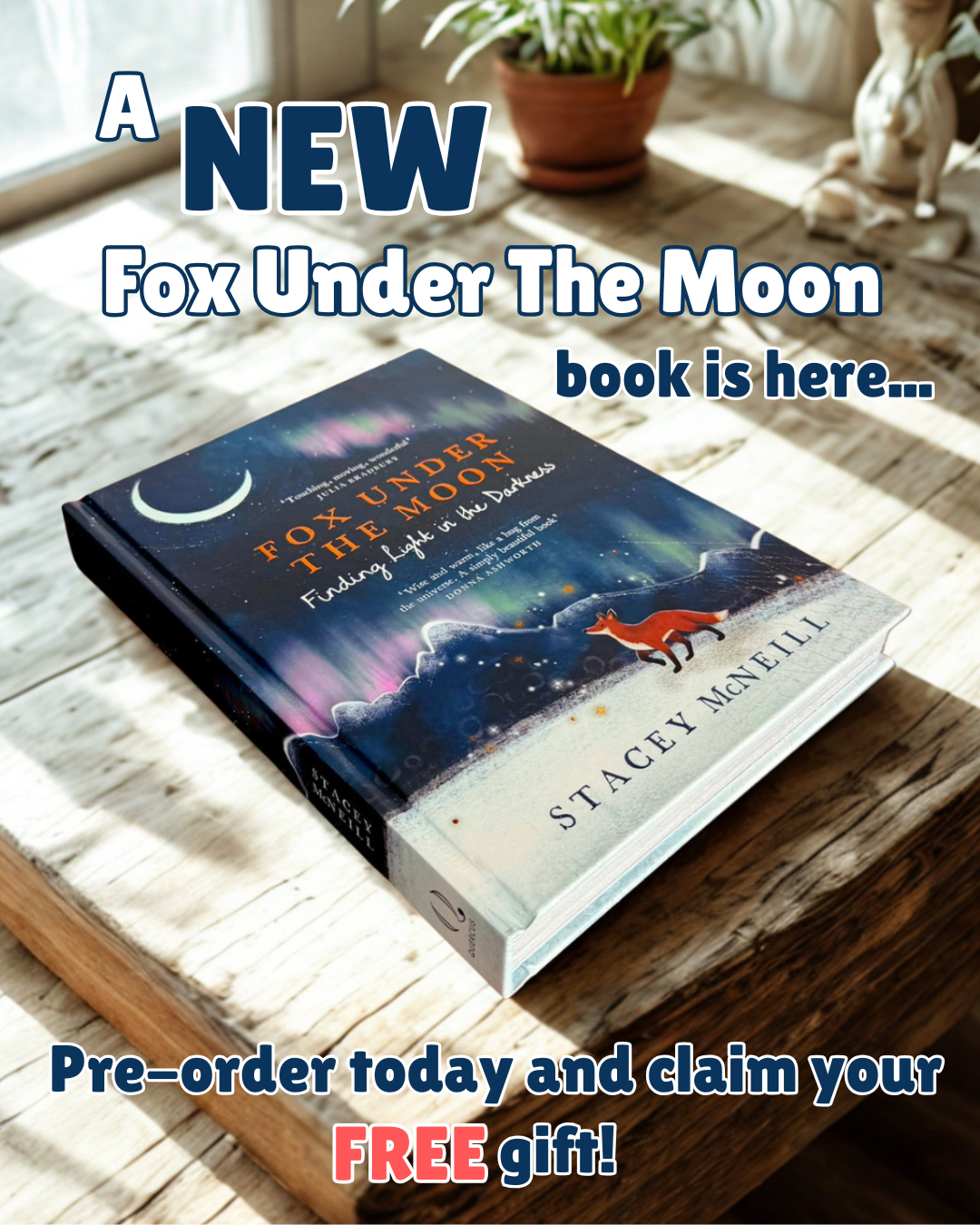Fox Under The Moon Facebook ad: Finding Light in the Darkness