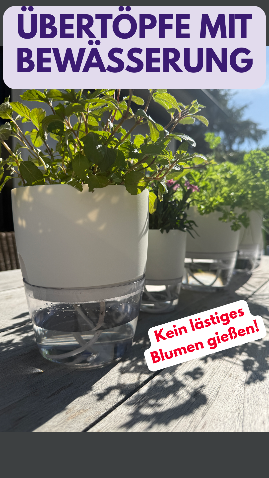 Deko-Hus Facebook ad