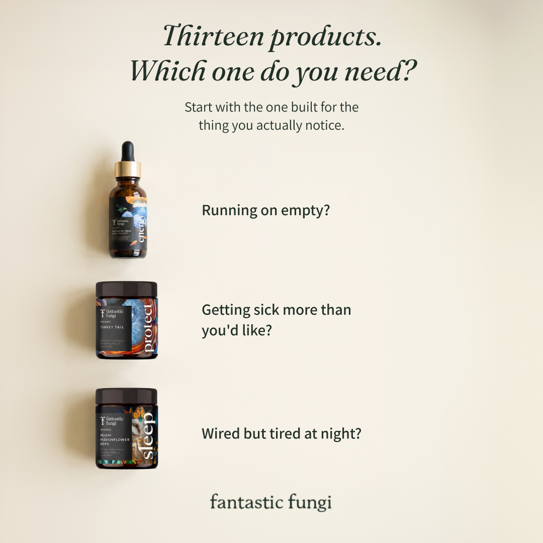 Fantastic Fungi Facebook ad