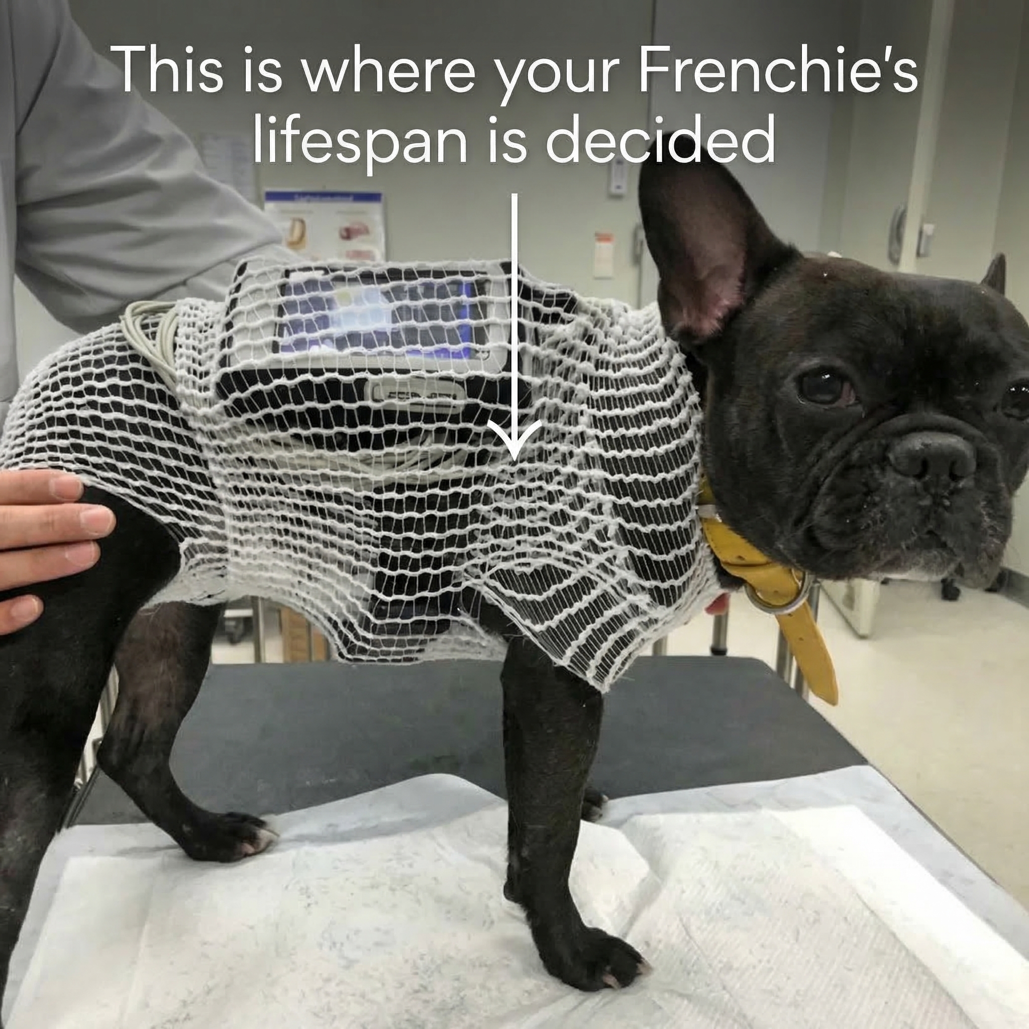 Dr. Sarah Mitchell Facebook ad