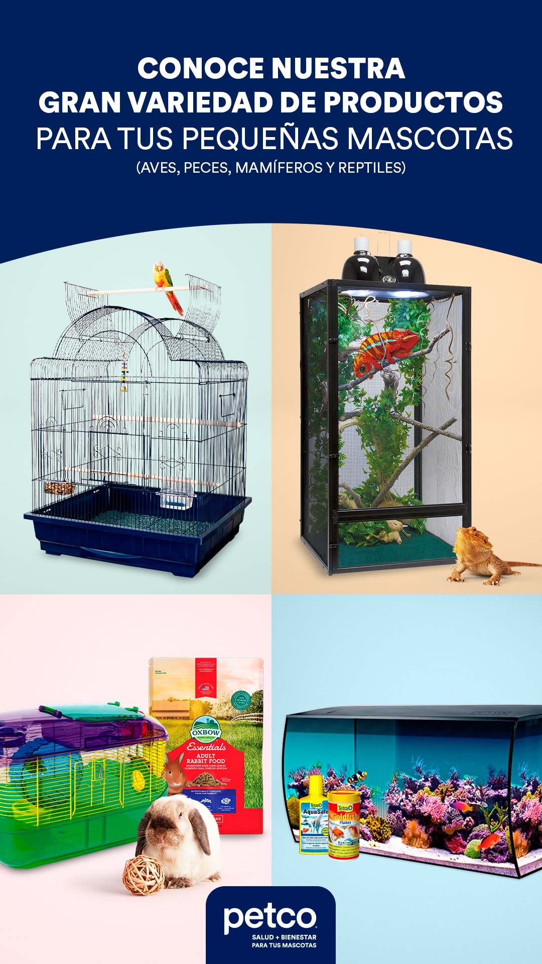 Petco México Facebook ad
