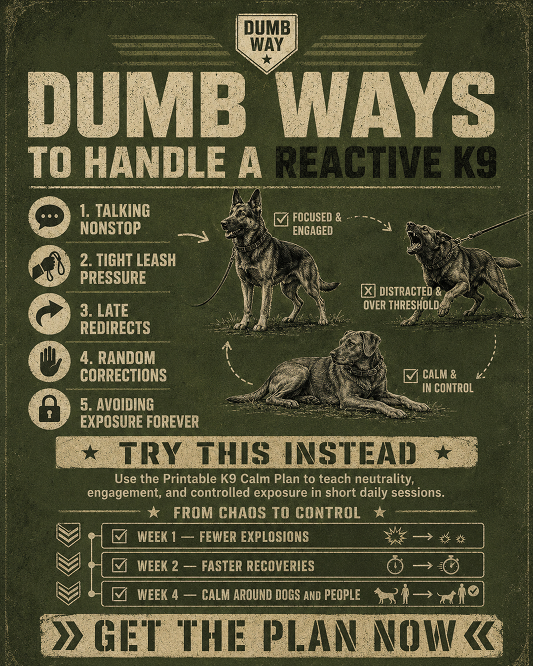 1st Dog Training Club Facebook ad