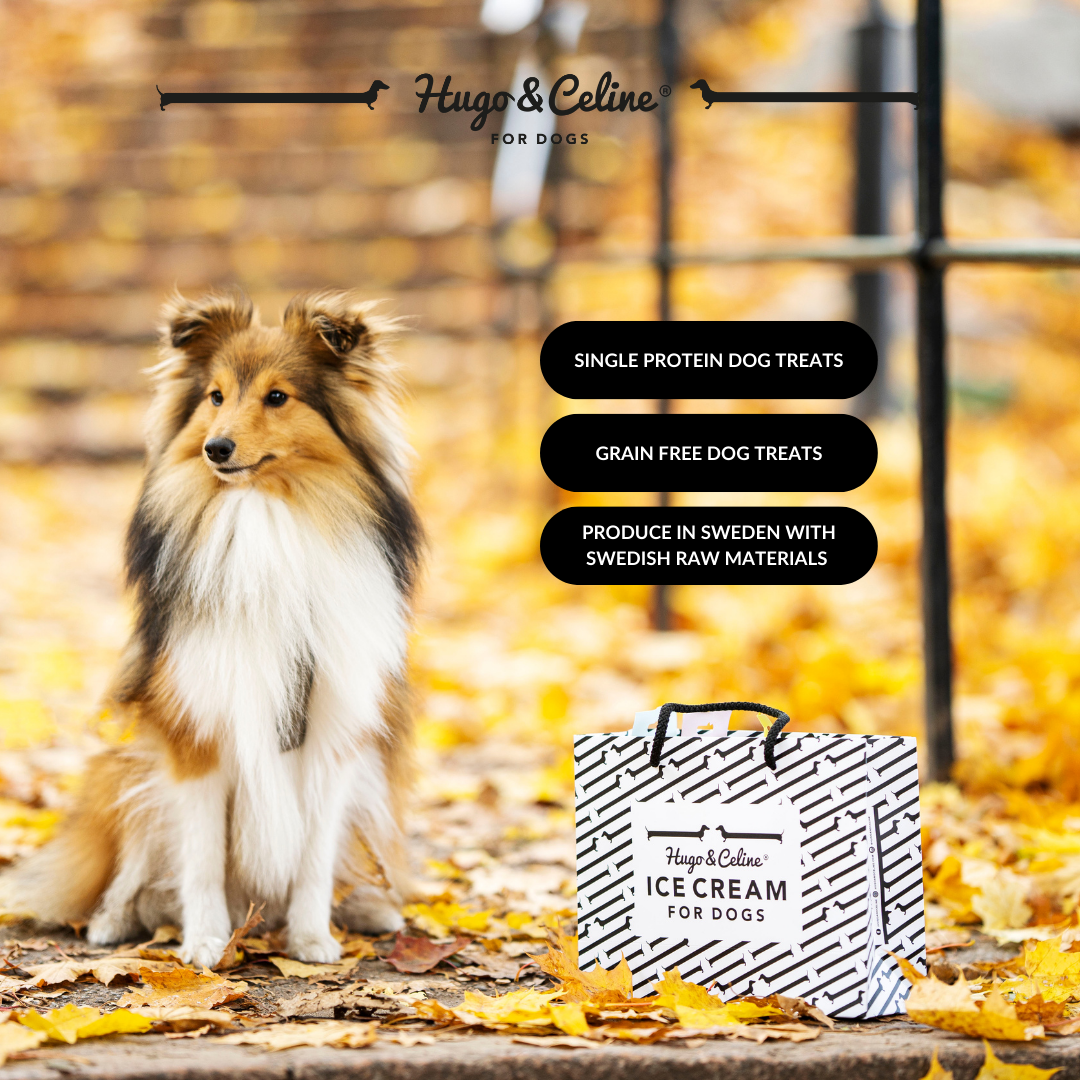 Hugo & Celine - For Dogs Facebook ad