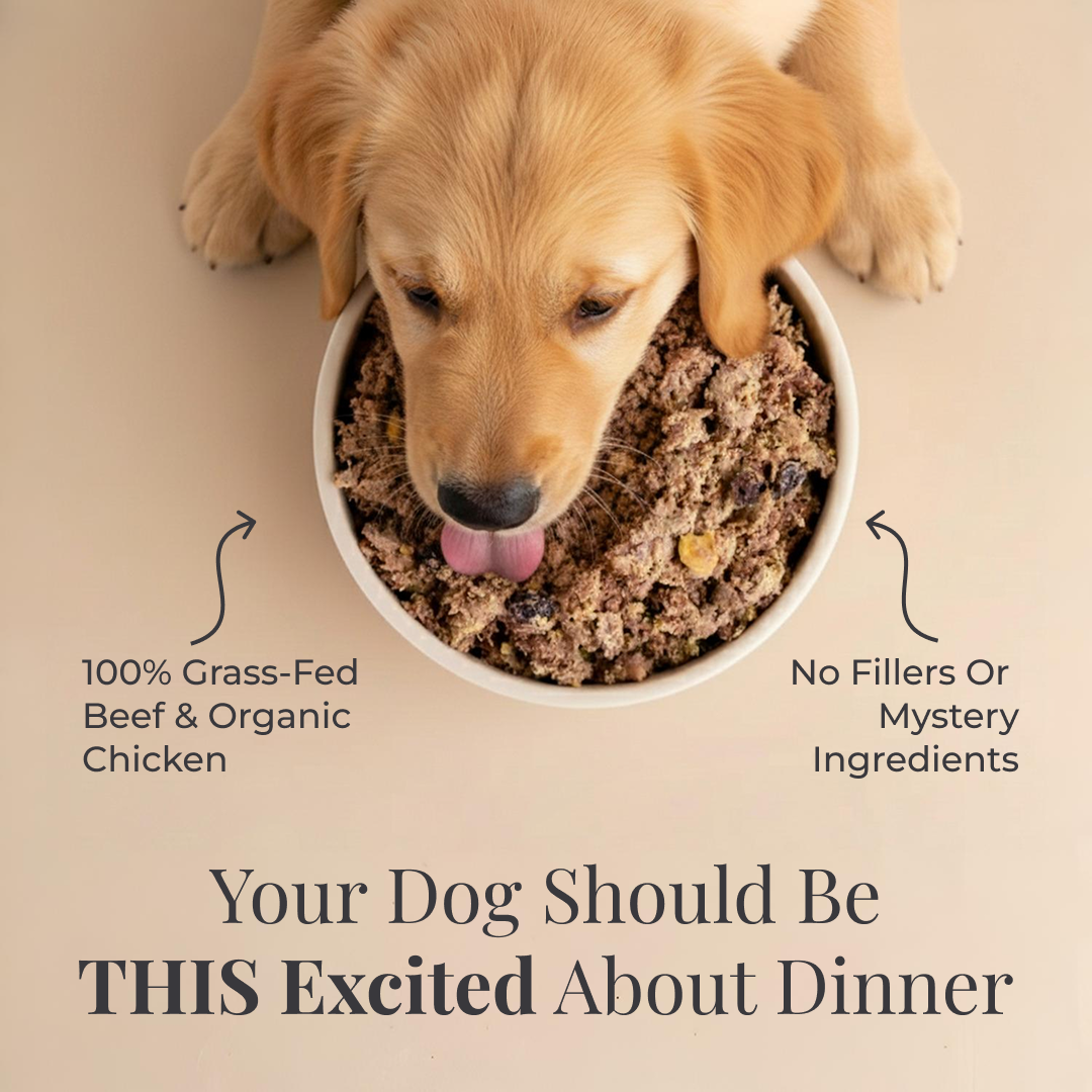 ButcherBox For Pets Facebook ad from Jan 16, 2026