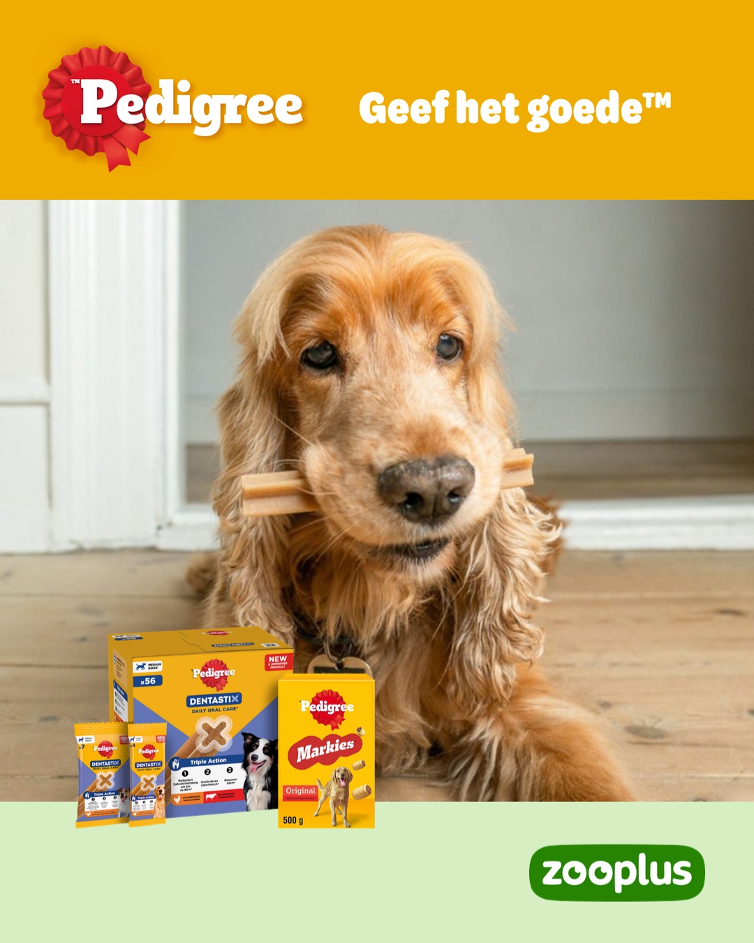 zooplus Facebook ad: PEDIGREE