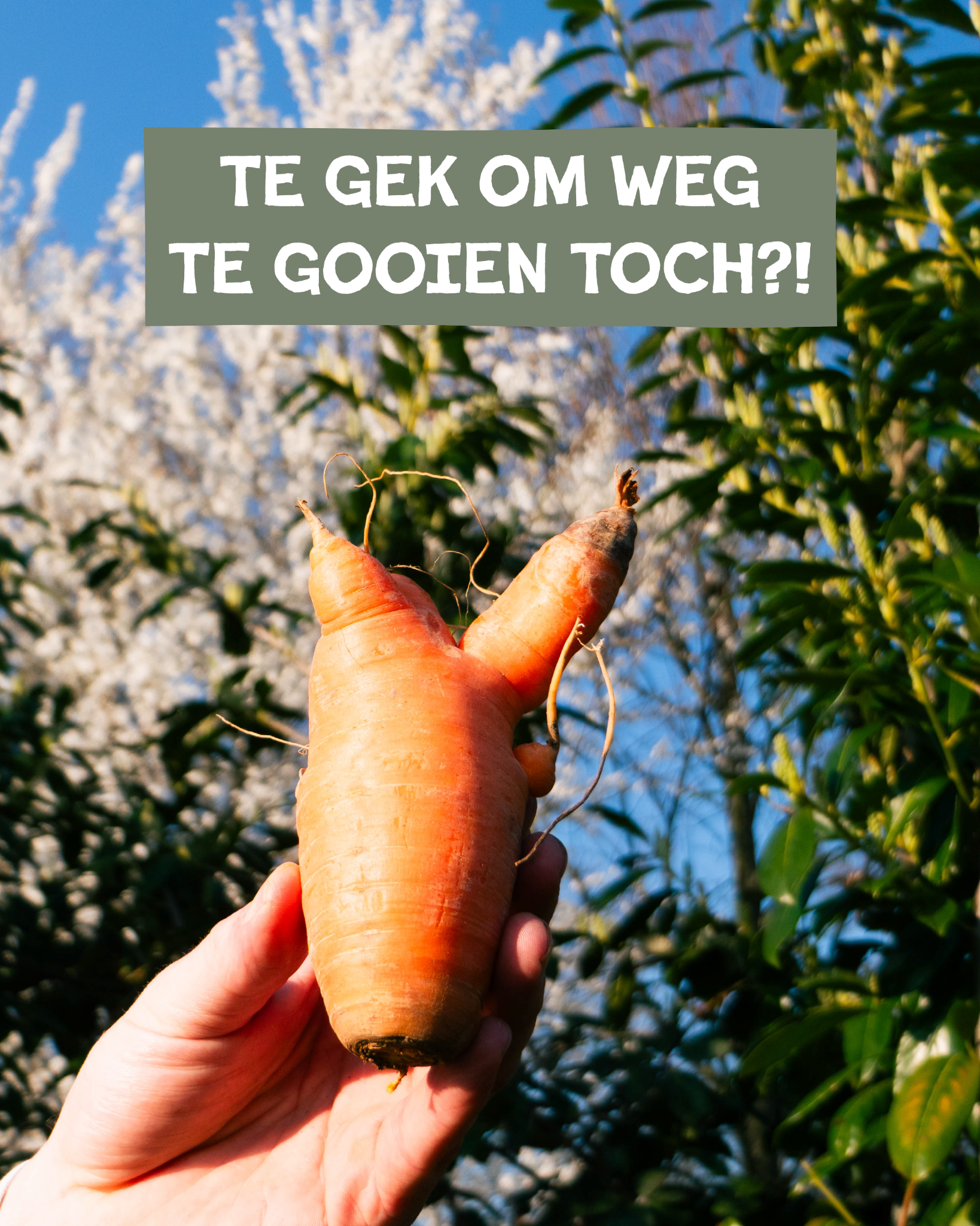 No Waste Army Facebook ad: Strijd mee tegen voedselverspilling!