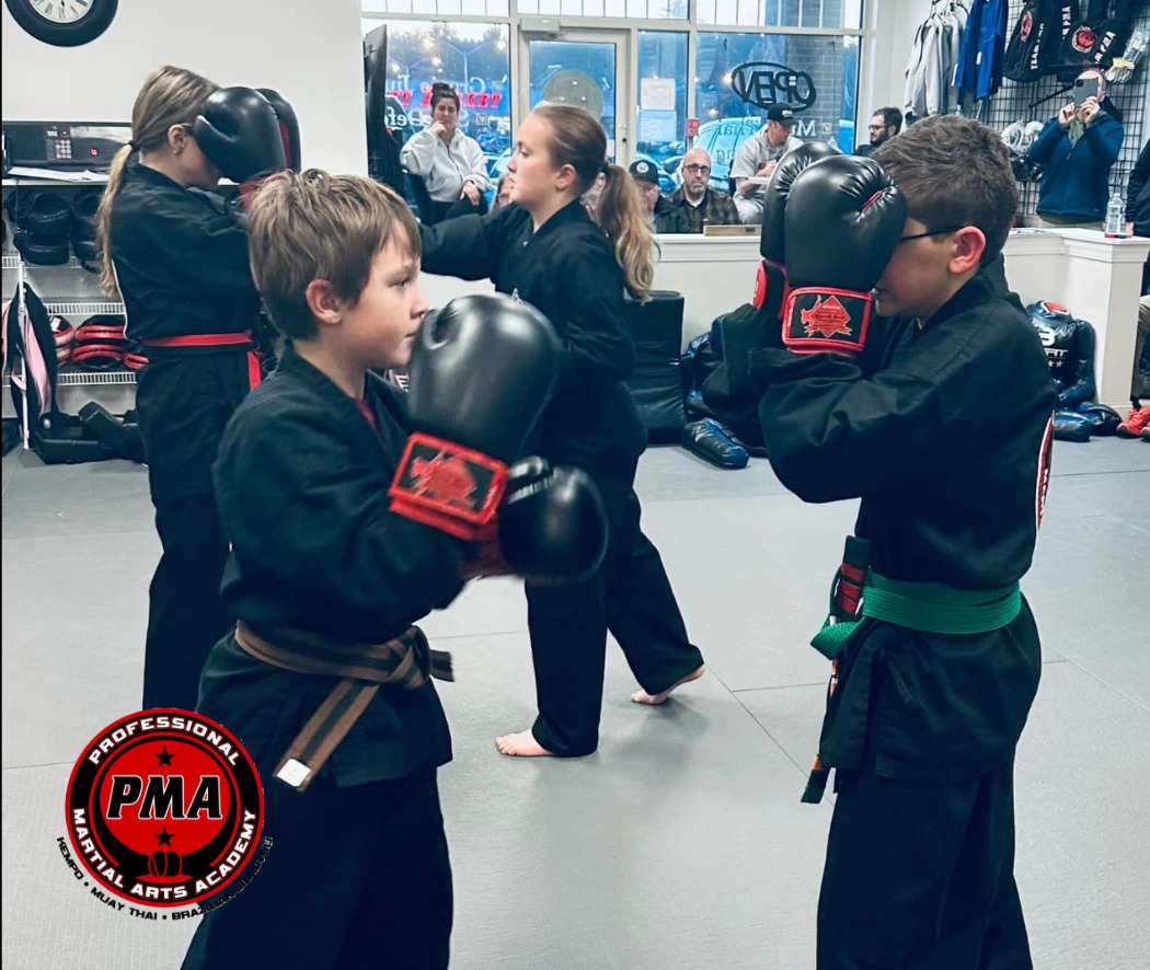 Professional Martial Arts Academy Plaistow Facebook ad