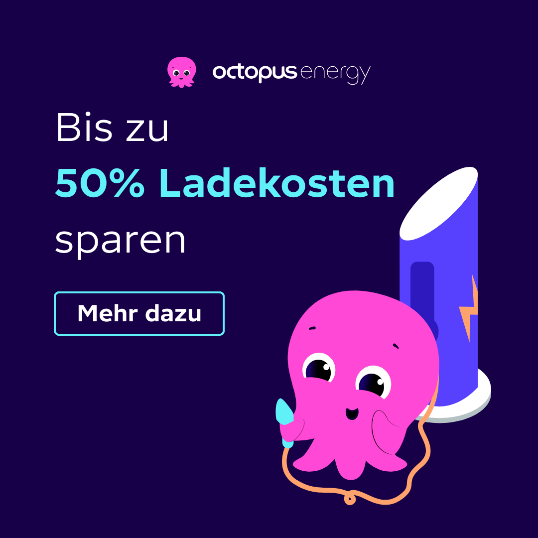 Octopus Energy Facebook ad