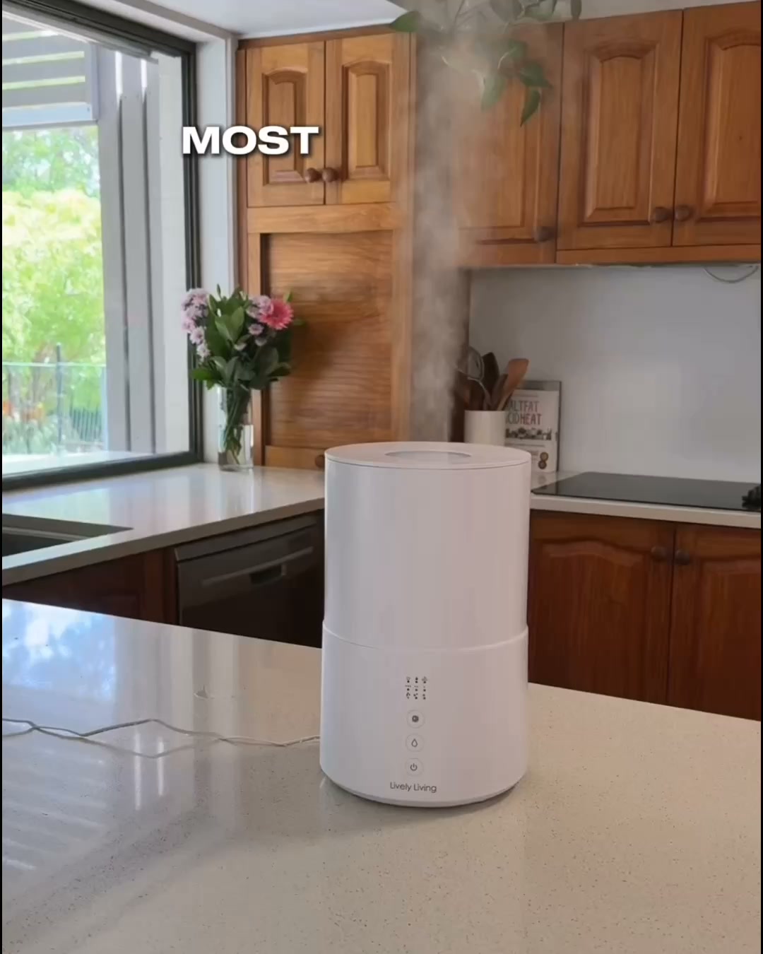 Lively Living Facebook ad: Sterilized Air Done Right
