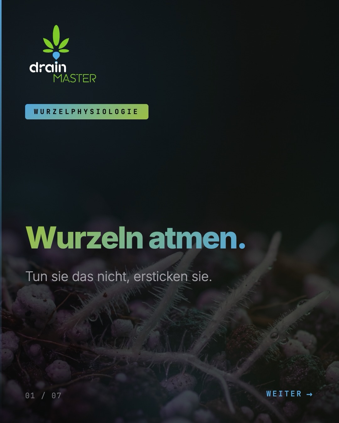 DrainMaster Facebook ad