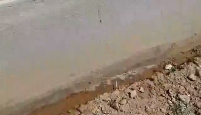 vibrant agriculture and pest control Facebook ad: _Vibrant Pest Control & Cleaning Services_