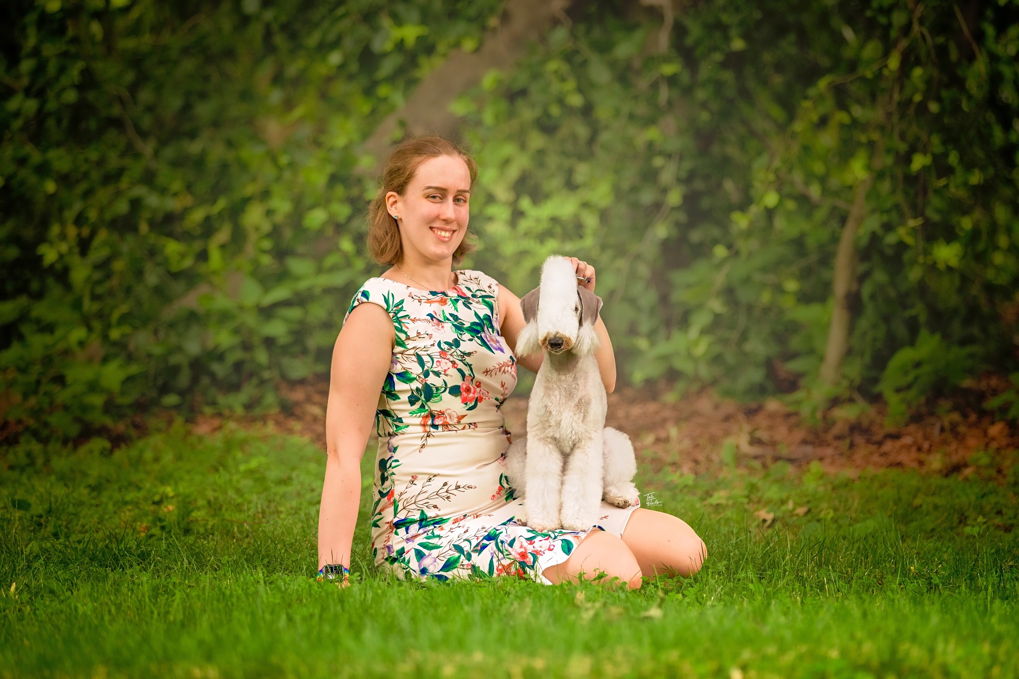 Contoured Canine Dog Grooming Facebook ad: One-on-one Fear Free personalized luxury dog grooming in…