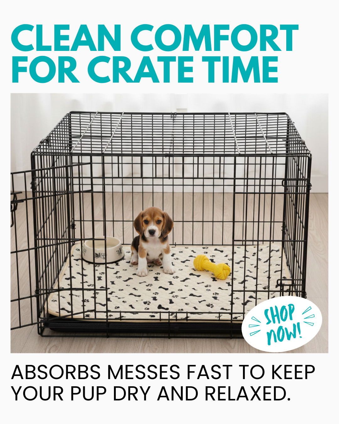 Potty Buddy Facebook ad