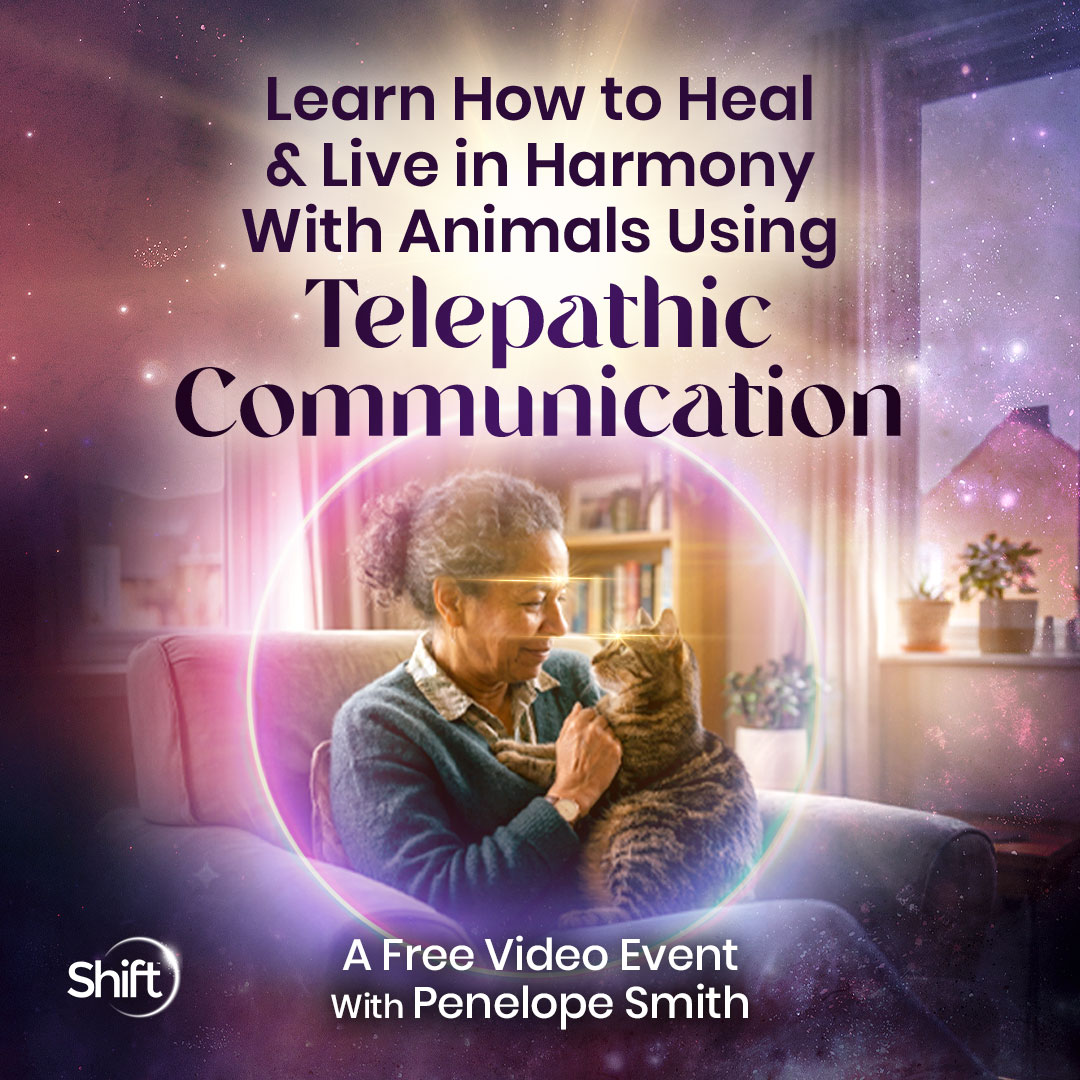 The Shift Network Facebook ad