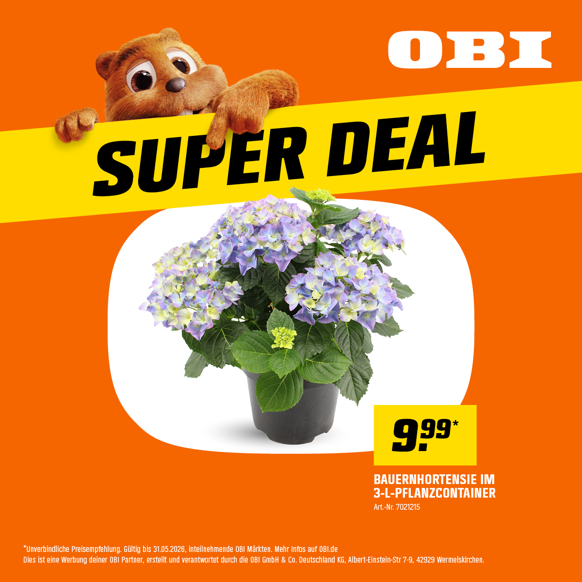 OBI Facebook ad