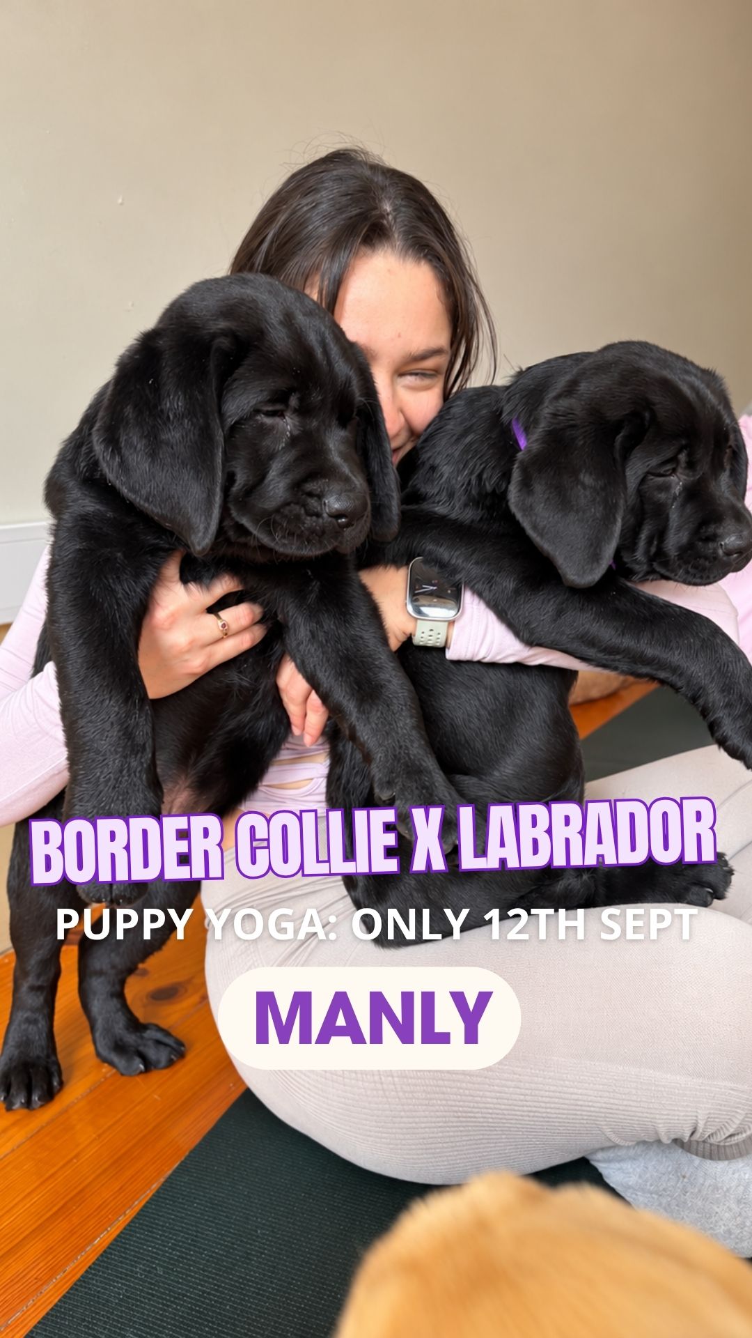 Positiva Puppy Yoga Facebook ad: 60 minutes of yoga & puppy cuddles