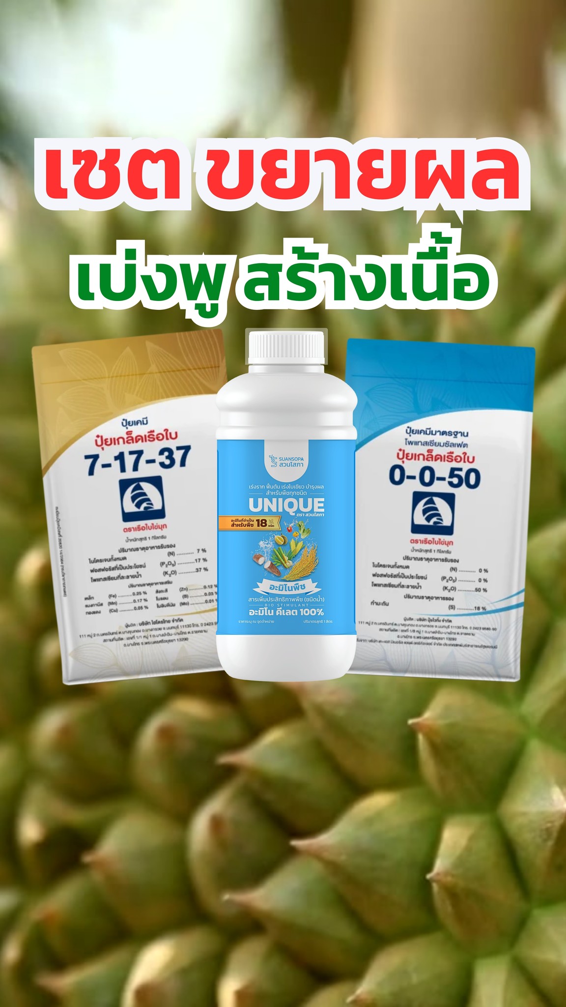 เกษตรนางาม Facebook ad
