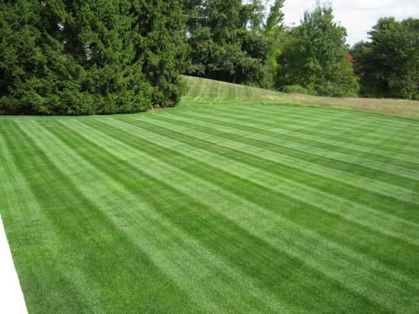 Rutland TurfCare and Pest Control Facebook ad: Free Winterizer and Lime Application, with Purchase of the…