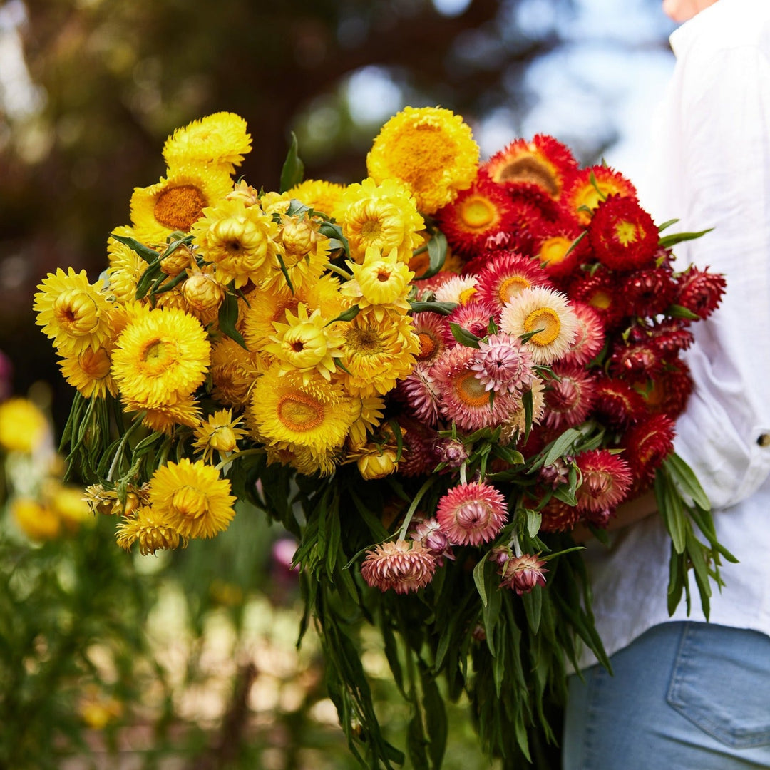 Veggie & Flower Garden Seeds Facebook ad
