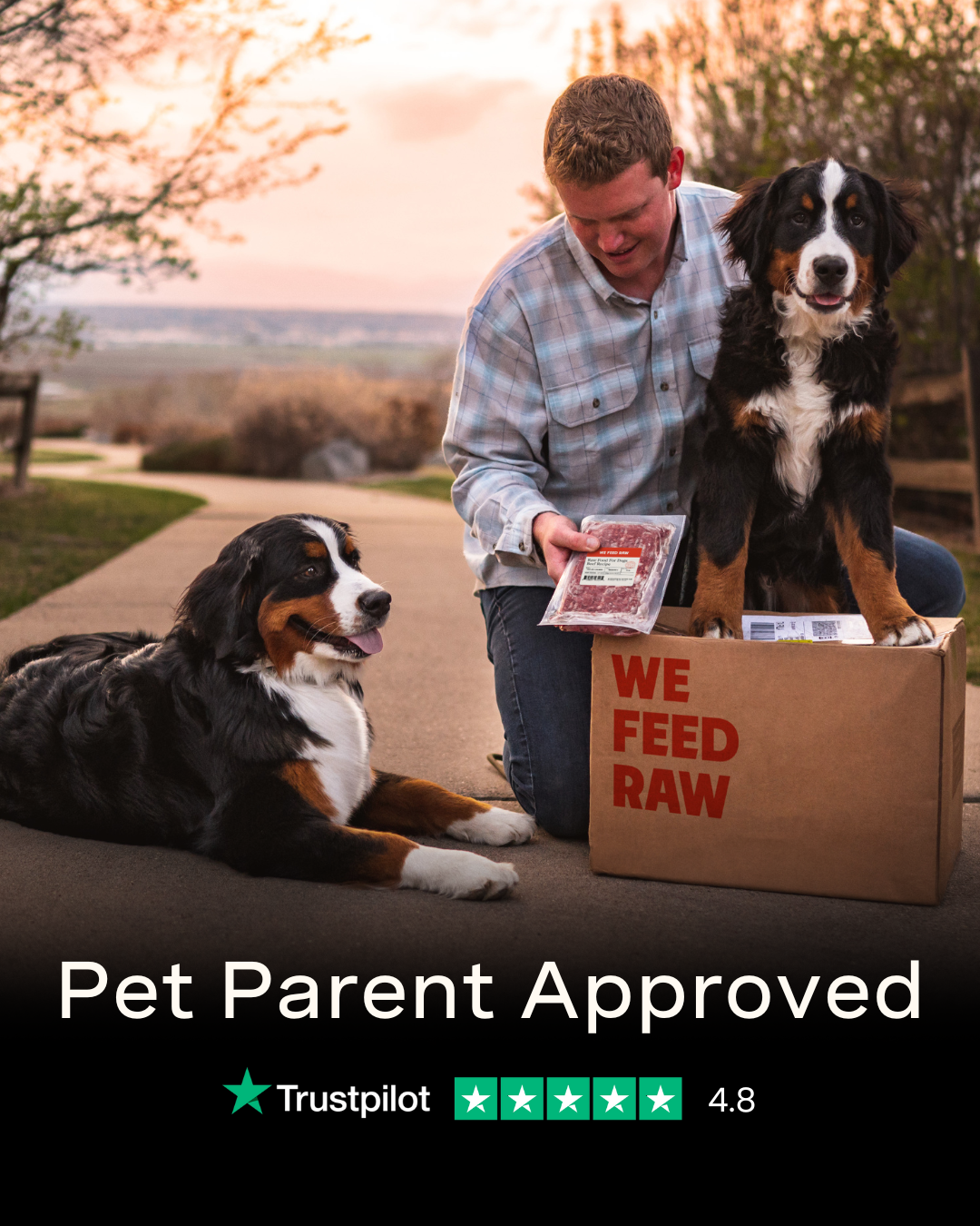 We Feed Raw Facebook ad